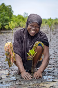 The Aga Khan Foundation’s ReGeneration initiative targets Kenya and five other Indian Ocean locations to restore 150,000 hectares of coastal ecosystems.