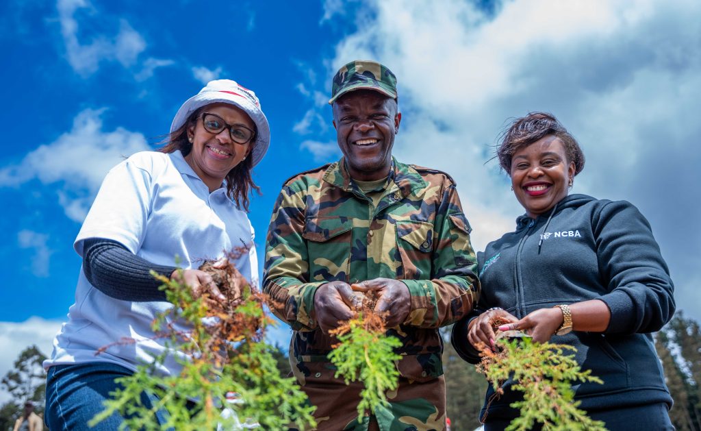 The tree-growing initiative aligns with NCBA’s broader sustainability agenda through its Change The Story platform, which aims to support the growth of 10 million trees by 2030.