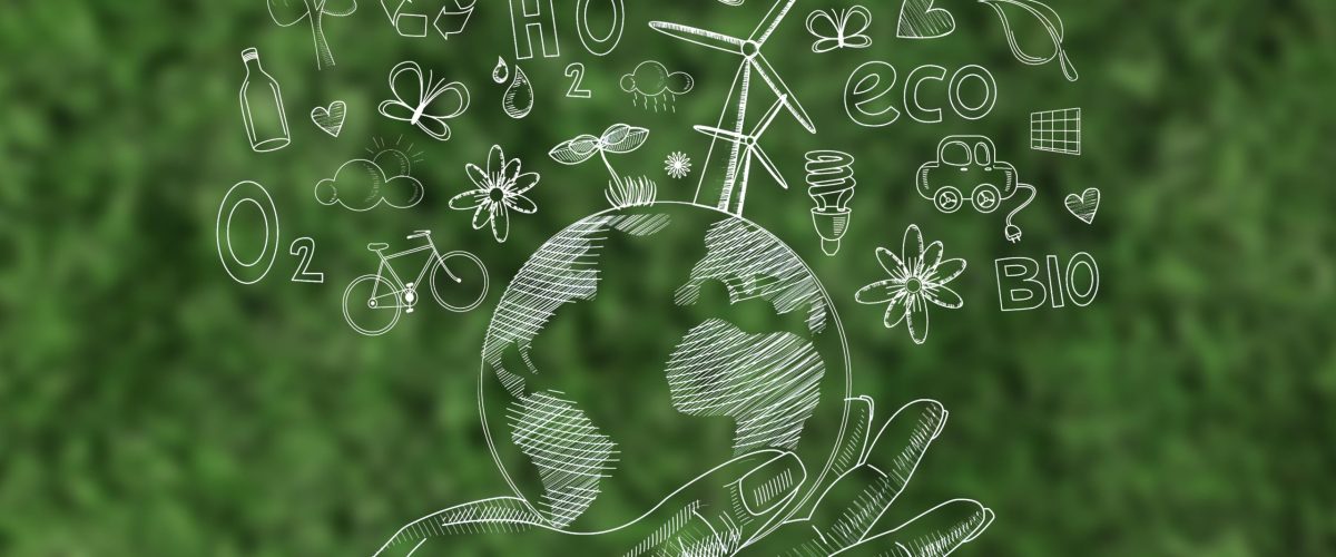 Sustainability Champions Network (3)